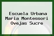 Escuela Urbana Maria Montessori Ovejas Sucre