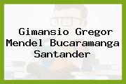 Gimansio Gregor Mendel Bucaramanga Santander
