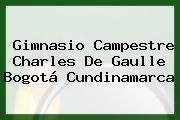 Gimnasio Campestre Charles De Gaulle Bogotá Cundinamarca