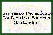 Gimnasio Pedagógico Comfenalco Socorro Santander