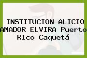 INSTITUCION ALICIO AMADOR ELVIRA Puerto Rico Caquetá