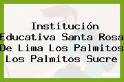 Institución Educativa Santa Rosa De Lima Los Palmitos Los Palmitos Sucre