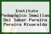 Instituto Pedagógico Semillas Del Saber Pereira Pereira Risaralda