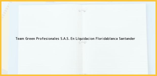 Teléfono, Dirección y otros datos de contacto para Team Green Profesionales S.A.S. En Líquidacion, Floridablanca, Santander, Colombia