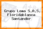 Grupo Lema S.A.S. Floridablanca Santander
