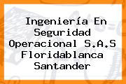Ingeniería En Seguridad Operacional S.A.S Floridablanca Santander