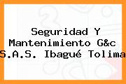 Seguridad Y Mantenimiento G&c S.A.S. Ibagué Tolima