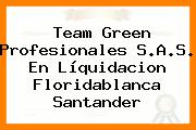 Team Green Profesionales S.A.S. En Líquidacion Floridablanca Santander
